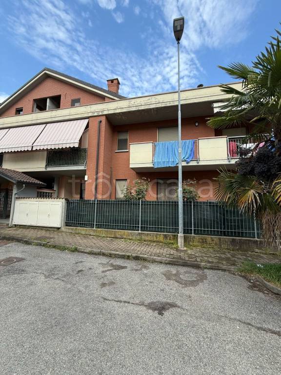immagine annuncio 3 di 15