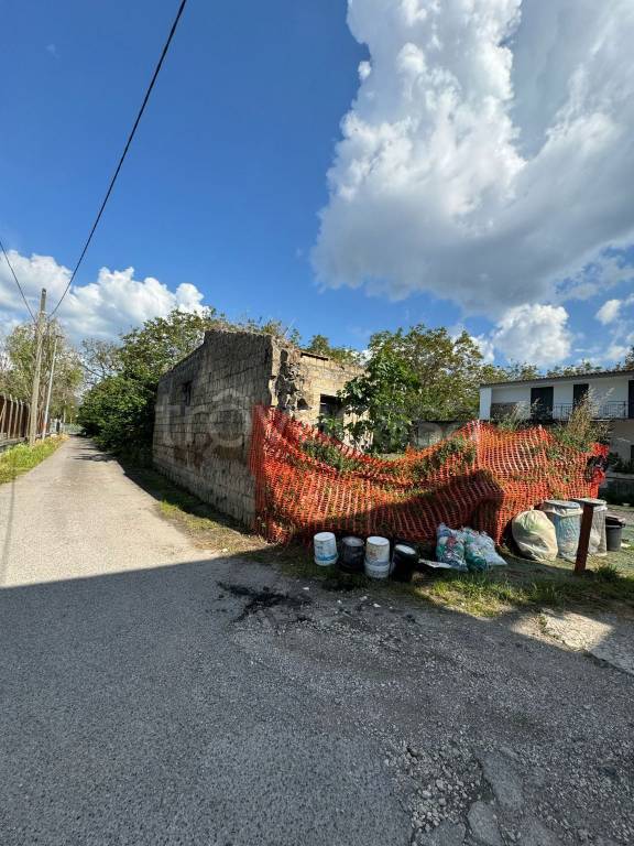 immagine annuncio 7 di 14