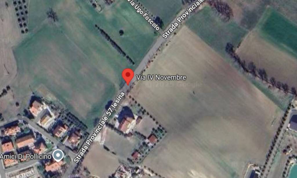 immagine annuncio 12 di 13