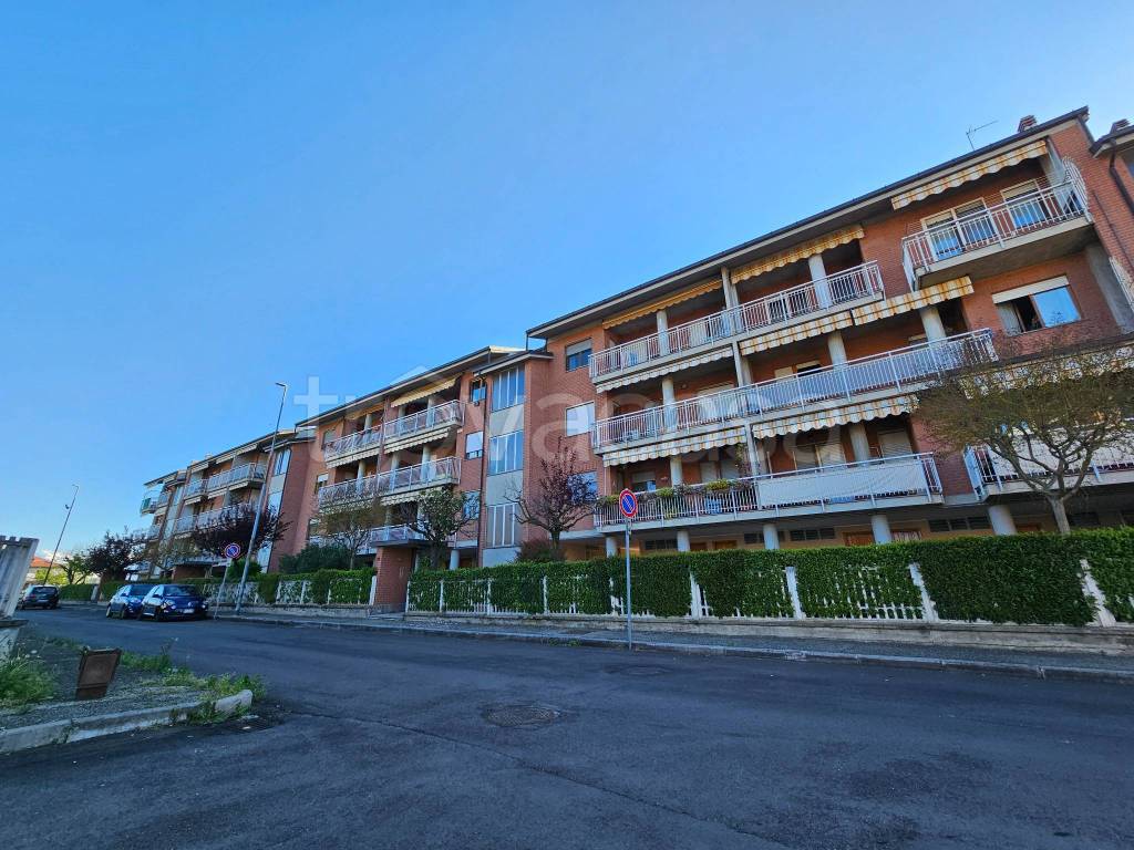 immagine annuncio 1 di 14