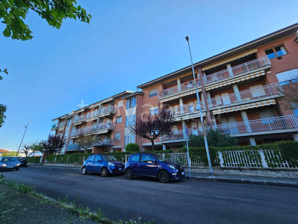 immagine annuncio 2 di 14