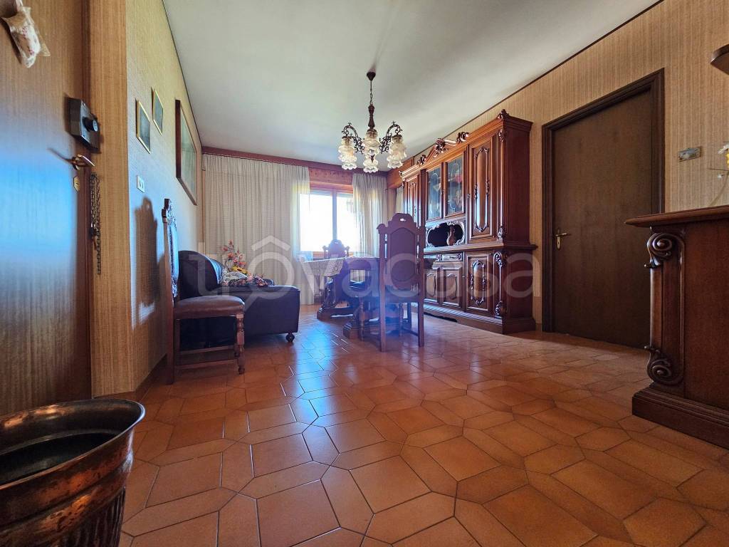 immagine annuncio 3 di 14