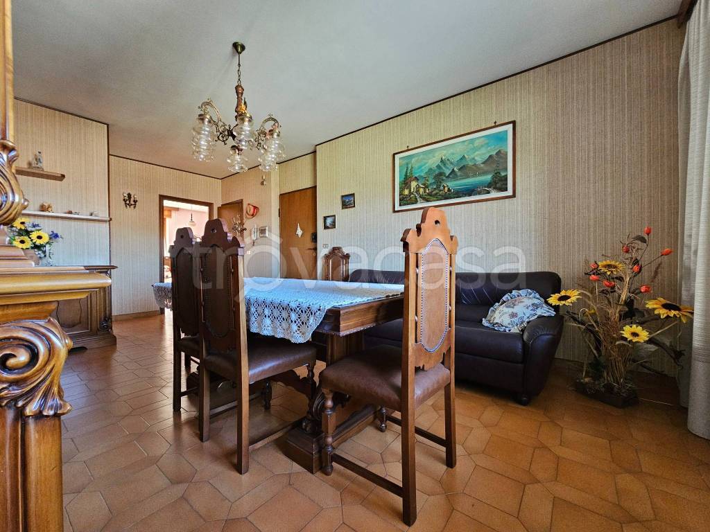 immagine annuncio 4 di 14