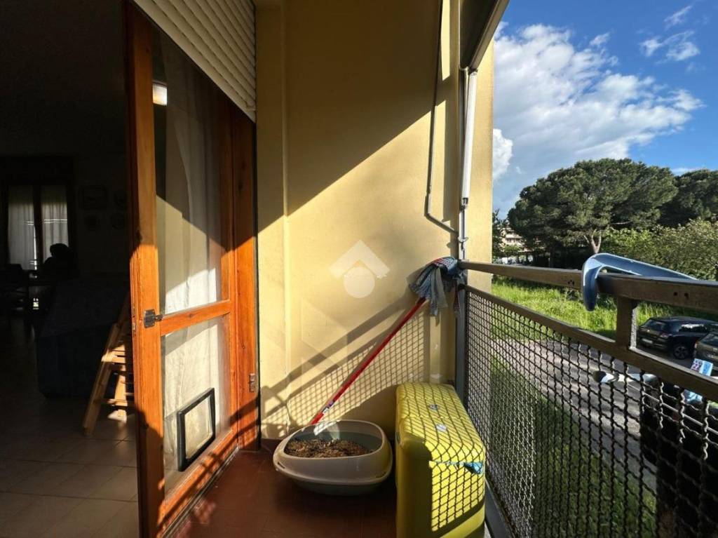 immagine annuncio 4 di 13