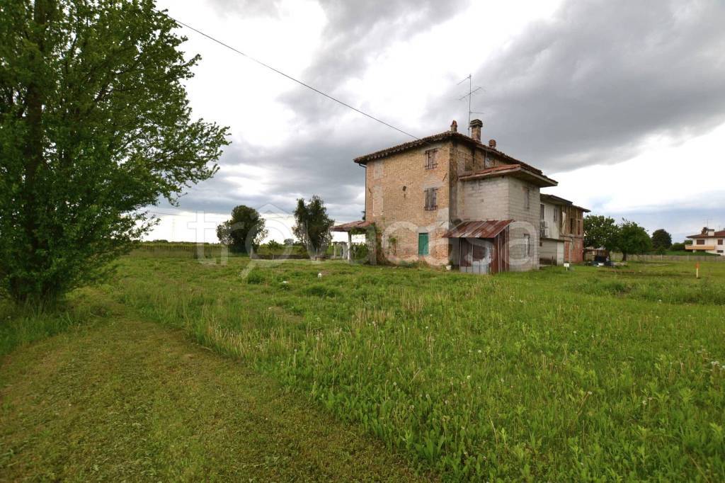 immagine annuncio 3 di 6