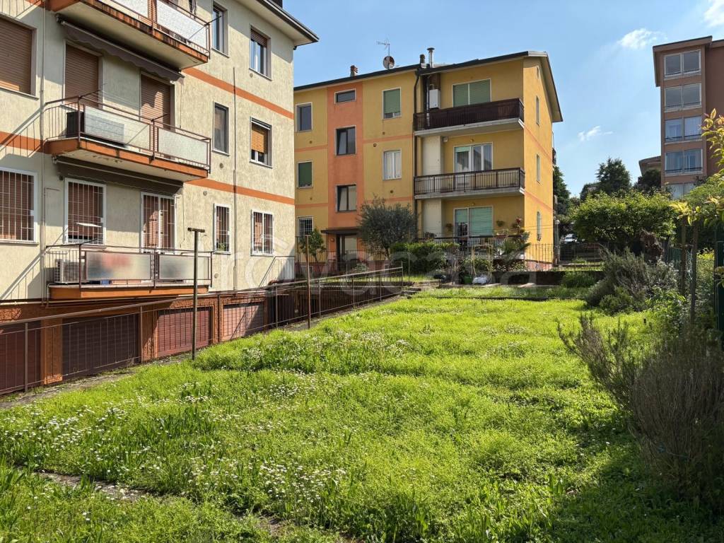 immagine annuncio 9 di 15