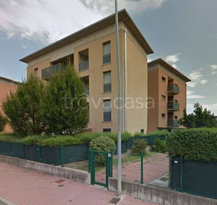 immagine annuncio 6 di 15