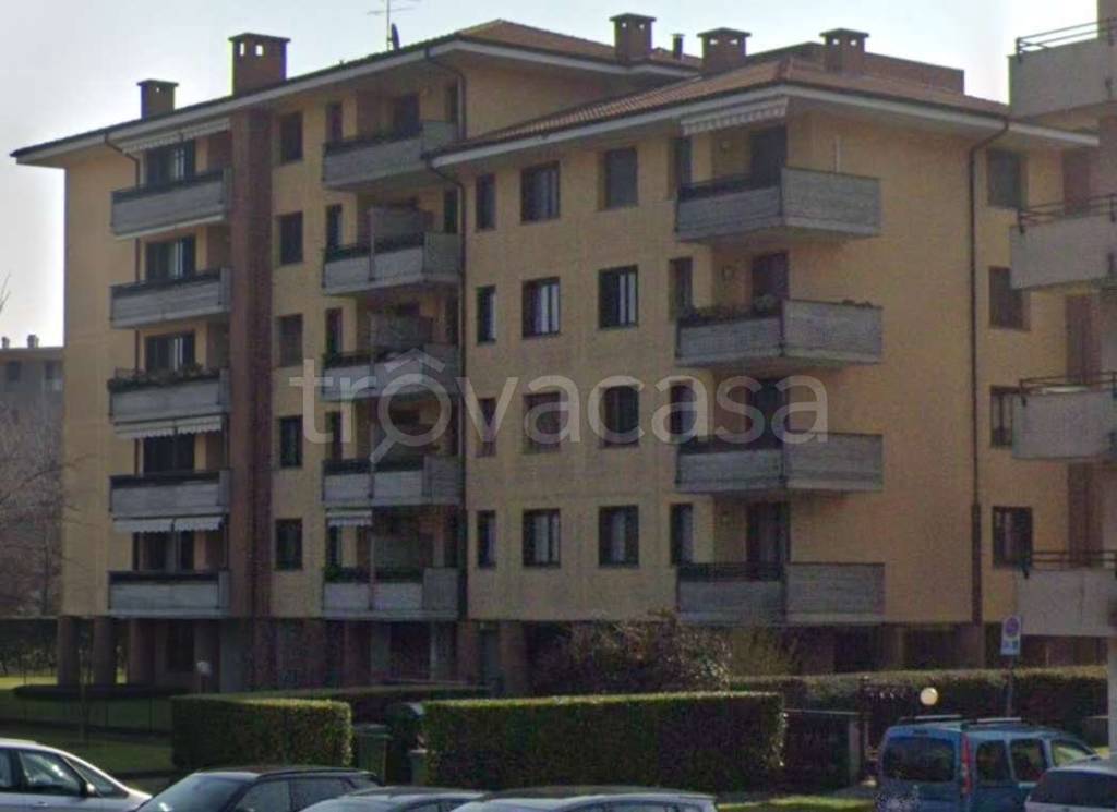 immagine annuncio 12 di 15