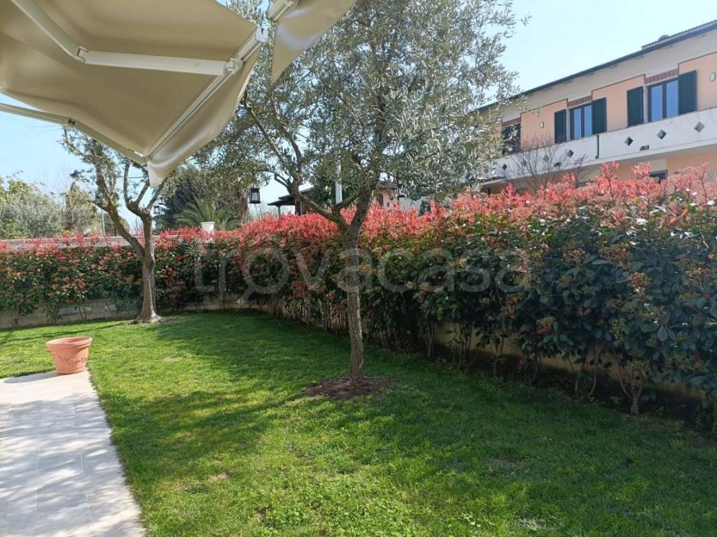immagine annuncio 3 di 15