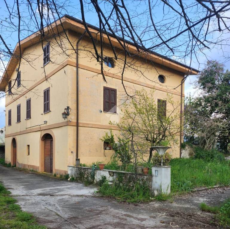 immagine annuncio 1 di 9