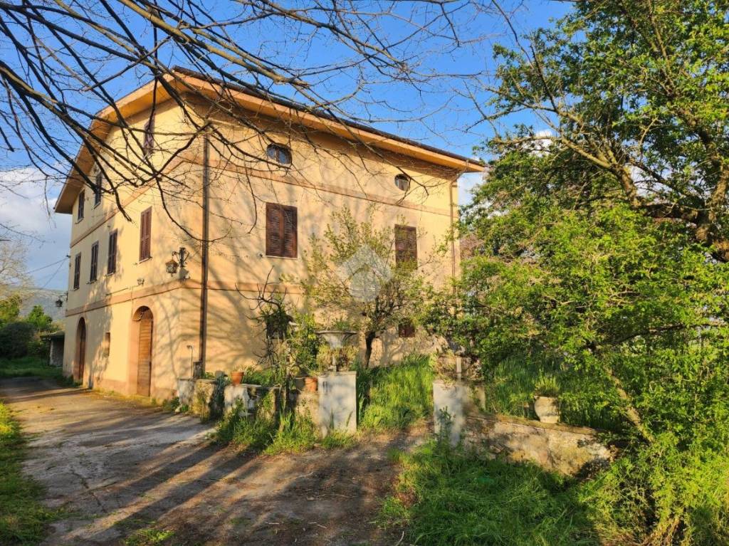 immagine annuncio 3 di 9