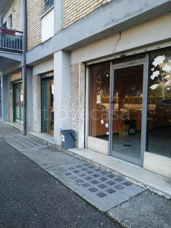 immagine annuncio 3 di 11