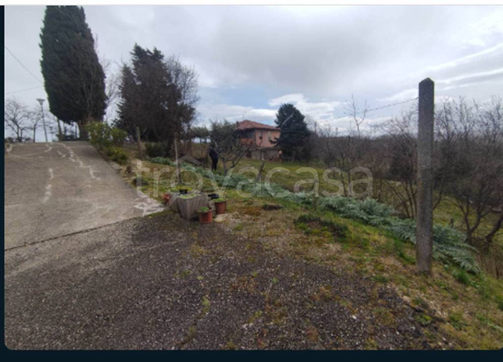 immagine annuncio 5 di 9
