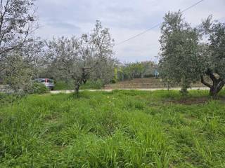Terreno residenziale in vendita a vasto 