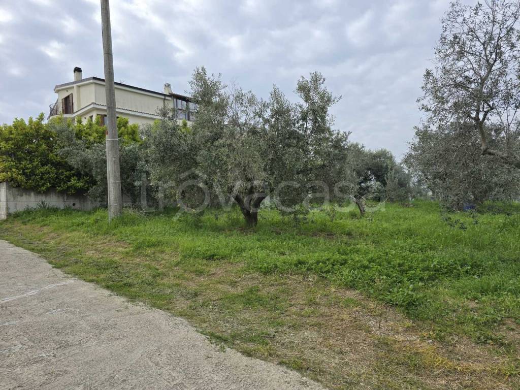 immagine annuncio 4 di 11