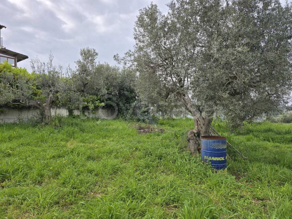 immagine annuncio 8 di 11