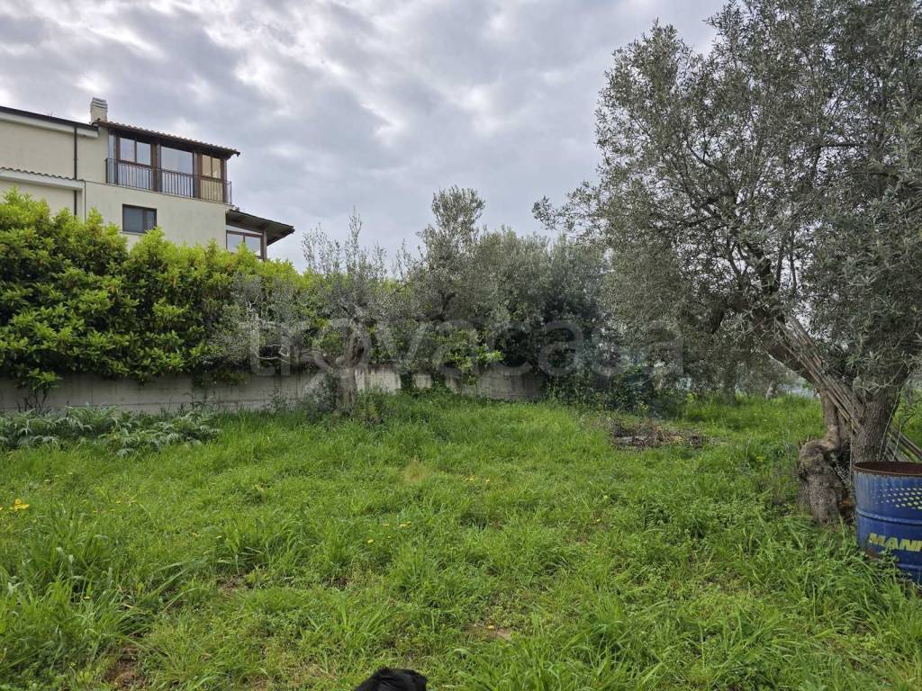 immagine annuncio 9 di 11