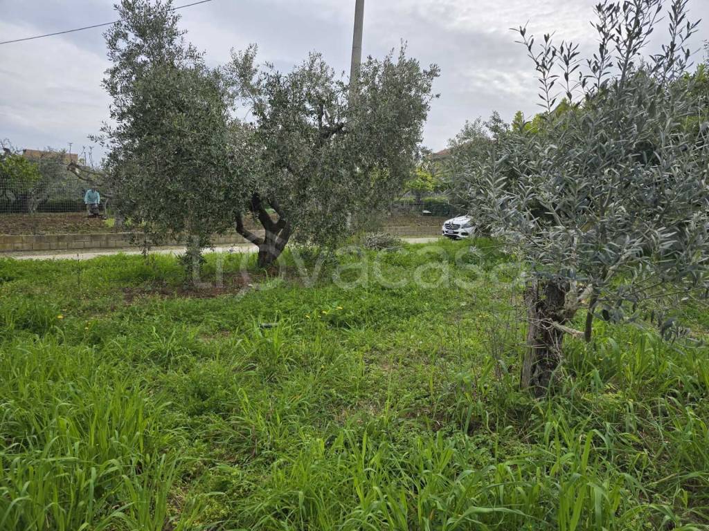 immagine annuncio 10 di 11