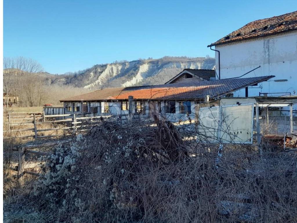 immagine annuncio 2 di 12