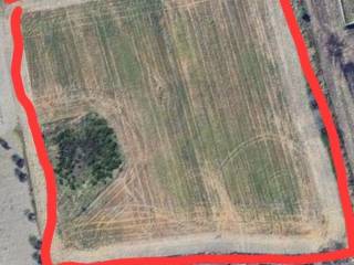 Terreno agricolo in vendita a san severo via san rocco