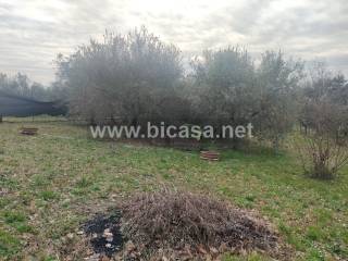 Terreno agricolo in vendita a pesaro san germano
