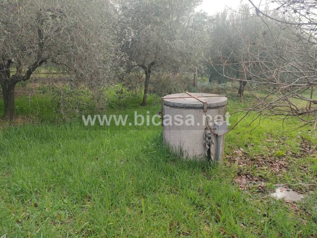 immagine annuncio 2 di 11