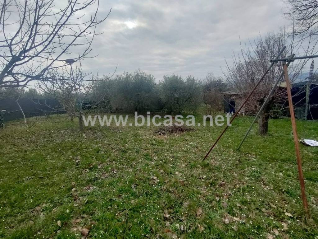 immagine annuncio 5 di 11