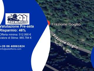 Terreno agricolo all'asta a baceno frazione goglio