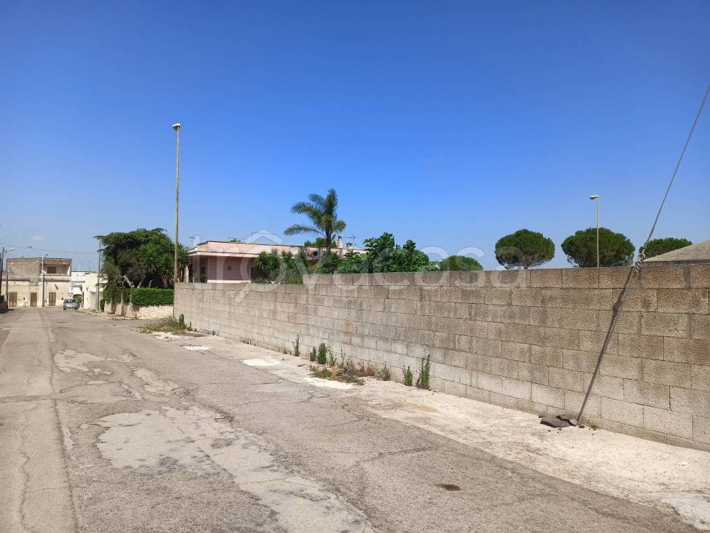 immagine annuncio 9 di 14