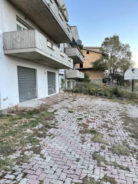 immagine annuncio 9 di 11