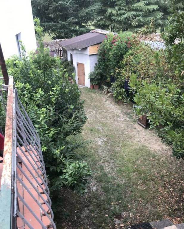 immagine annuncio 6 di 12