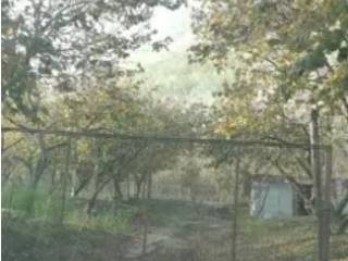 Terreno agricolo all'asta a contrada 83020 contrada av, italia