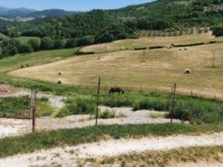 Terreno agricolo all'asta a nocera umbra località mascionchie, 06025 mascionchie pg, italia, nocera umbra, pg,