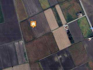 Terreno agricolo all'asta a legnago strada provinciale 46