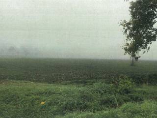 Terreno agricolo all'asta a monticelli d'ongina localita' isola serafini, snc
