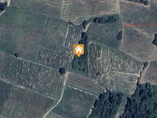 Terreno agricolo all'asta a cigognola frazione colombera- frazione monteguzzo