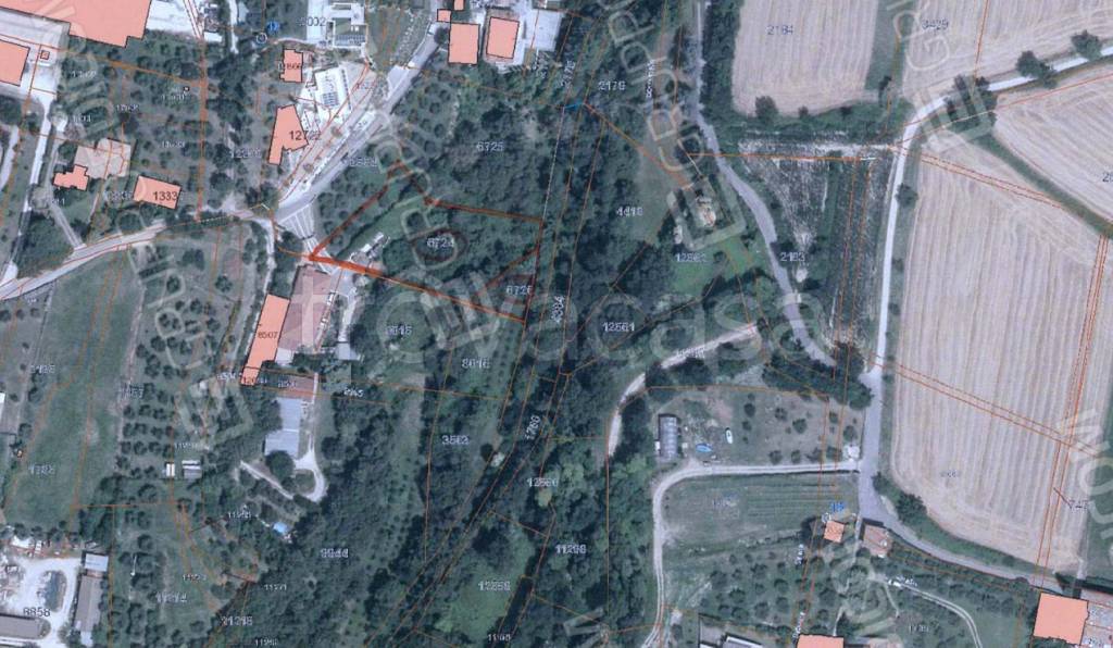 immagine annuncio 1 di 7