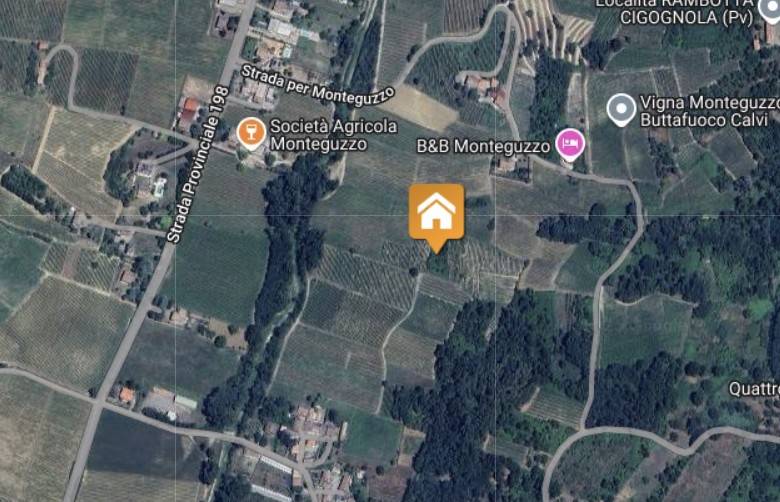 immagine annuncio 1 di 7