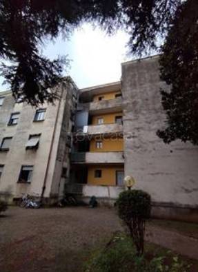 immagine annuncio 2 di 14