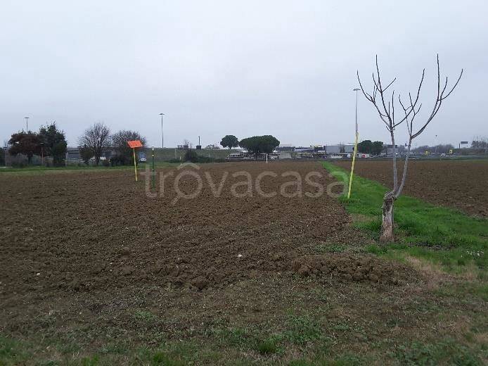 immagine annuncio 2 di 4