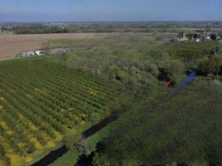 Terreno agricolo all'asta a cerea località san vito