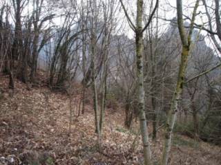 Terreno agricolo all'asta a san pellegrino terme via colle, 22