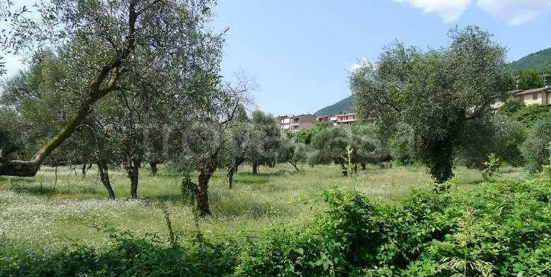 immagine annuncio 3 di 8