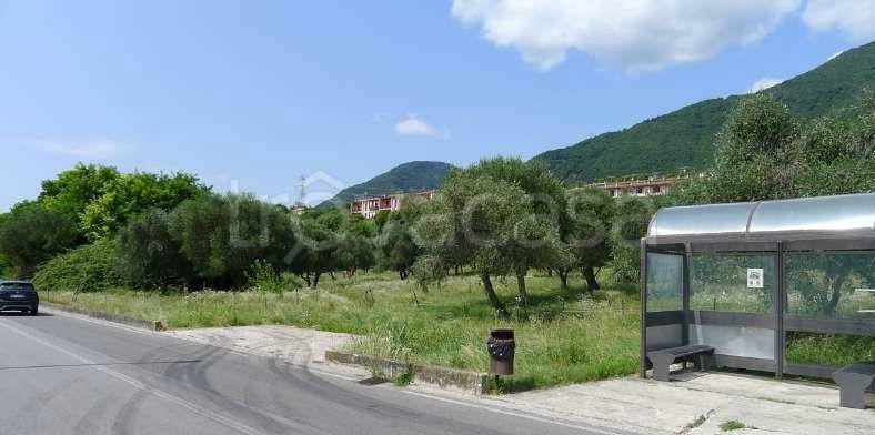 immagine annuncio 4 di 8
