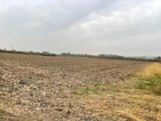 Terreno agricolo all'asta a cairate vicolo brescia