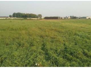 Terreno agricolo all'asta a gerenzano via risorgimento