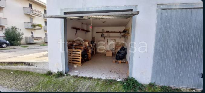 immagine annuncio 1 di 14