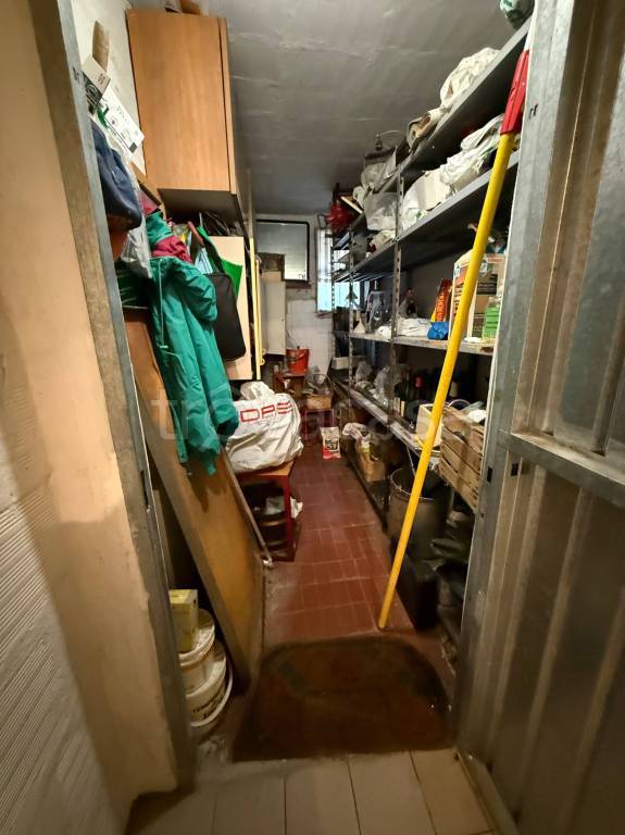 immagine annuncio 12 di 14