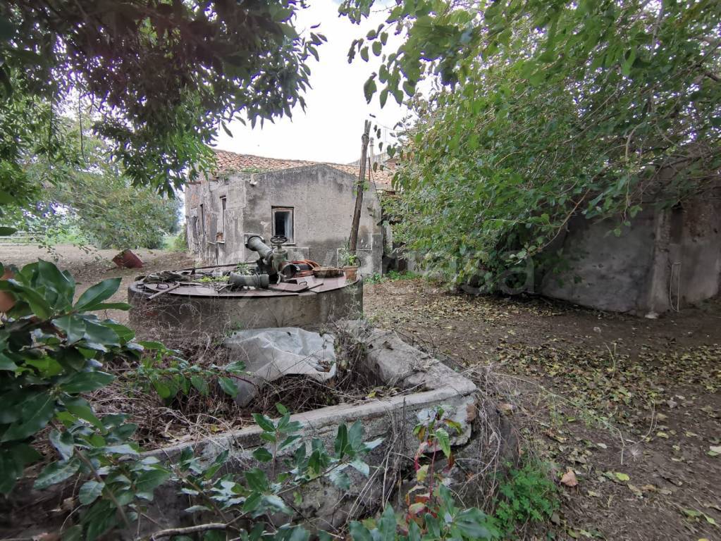 immagine annuncio 3 di 8