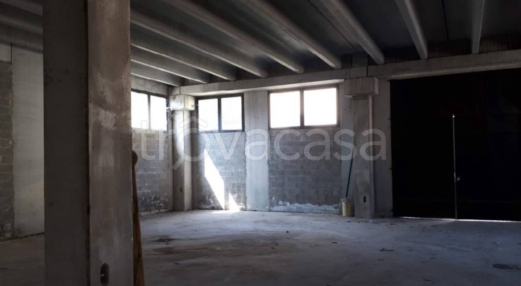 immagine annuncio 2 di 7